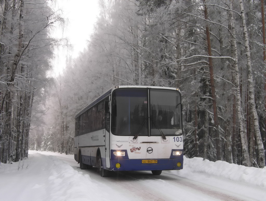 Автобус олонец. Автобус Карелия. Транспорт в Карелии общественный. Автобус Суоярви Петрозаводск. Автобус Олонец Петрозаводск.