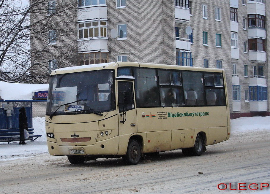 Витебская область, МАЗ-256.200 № 021880