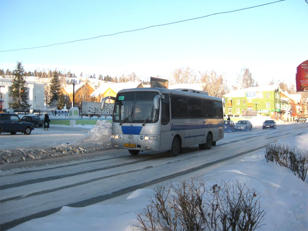 Свердловская область, Hyundai AeroTown № ЕО 480 66