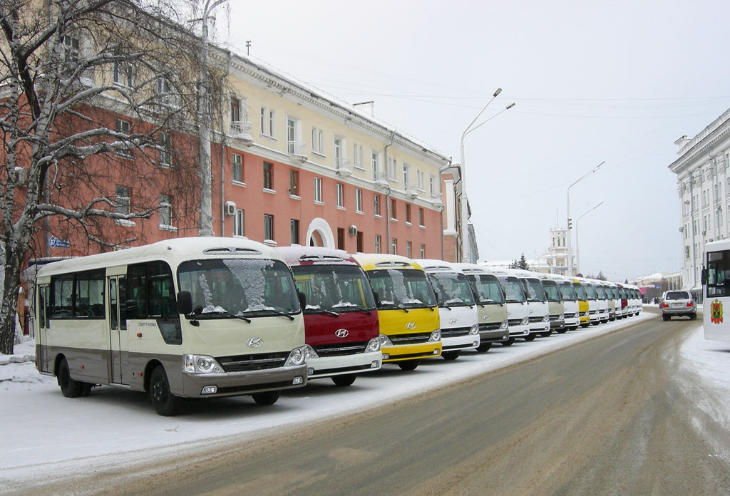 Kemerovo region - Kuzbass — New buses