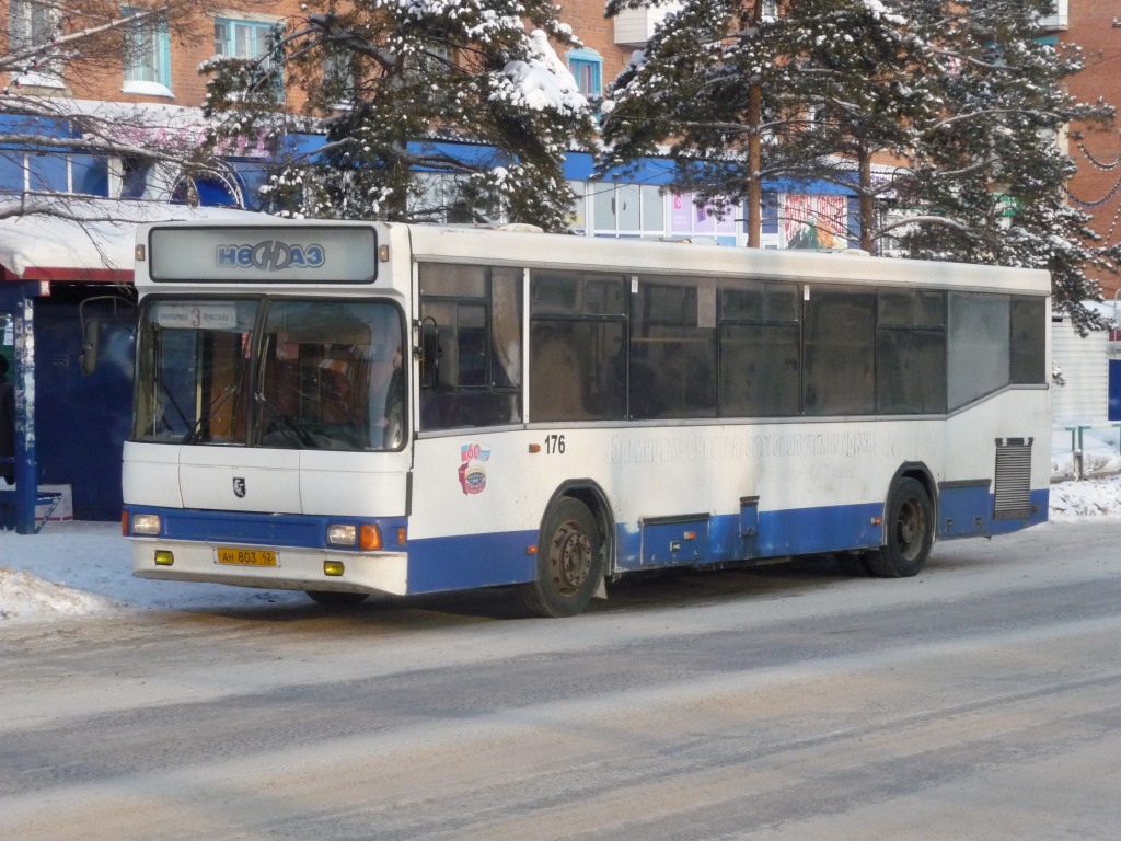Kemerovo region - Kuzbass, NefAZ-5299 Nr. 176