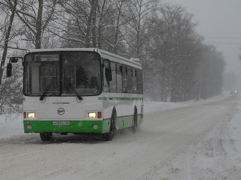 Псковская область, ЛиАЗ-5256.36 № 208