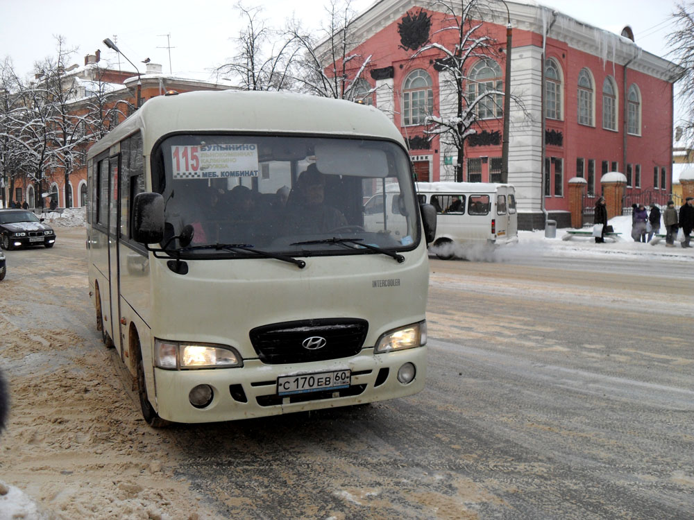 Псковская область, Hyundai County SWB C08 (РЗГА) № С 170 ЕВ 60