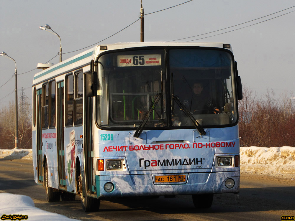 Нижегородская область, ЛиАЗ-5256.26 № 15239