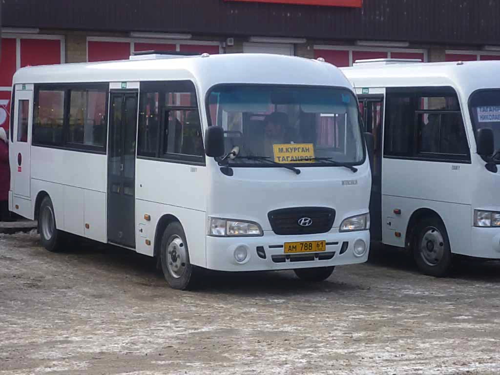 Ростовская область, Hyundai County LWB C09 (ТагАЗ) № 64