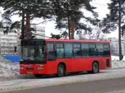 239 КБ