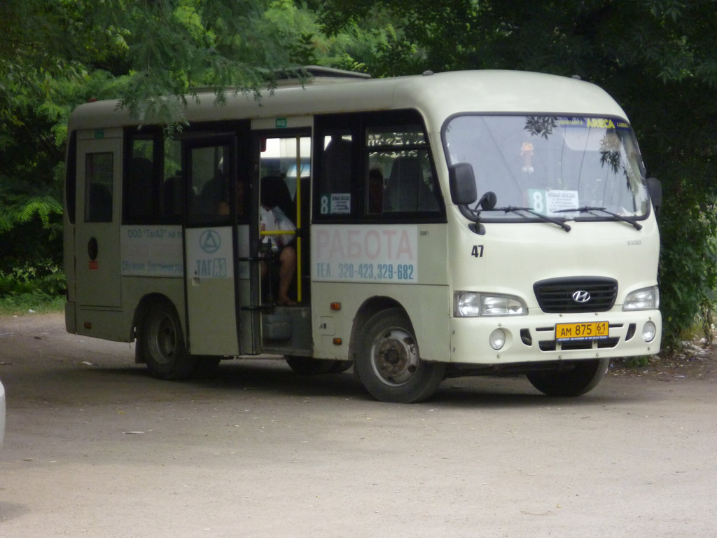 Ростовская область, Hyundai County SWB C08 (РЗГА) № 47