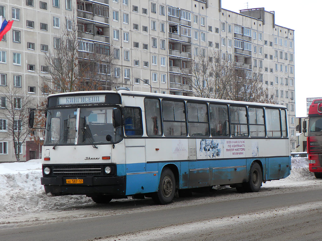 Ленінградская вобласць, Ikarus 263.10 № 04152