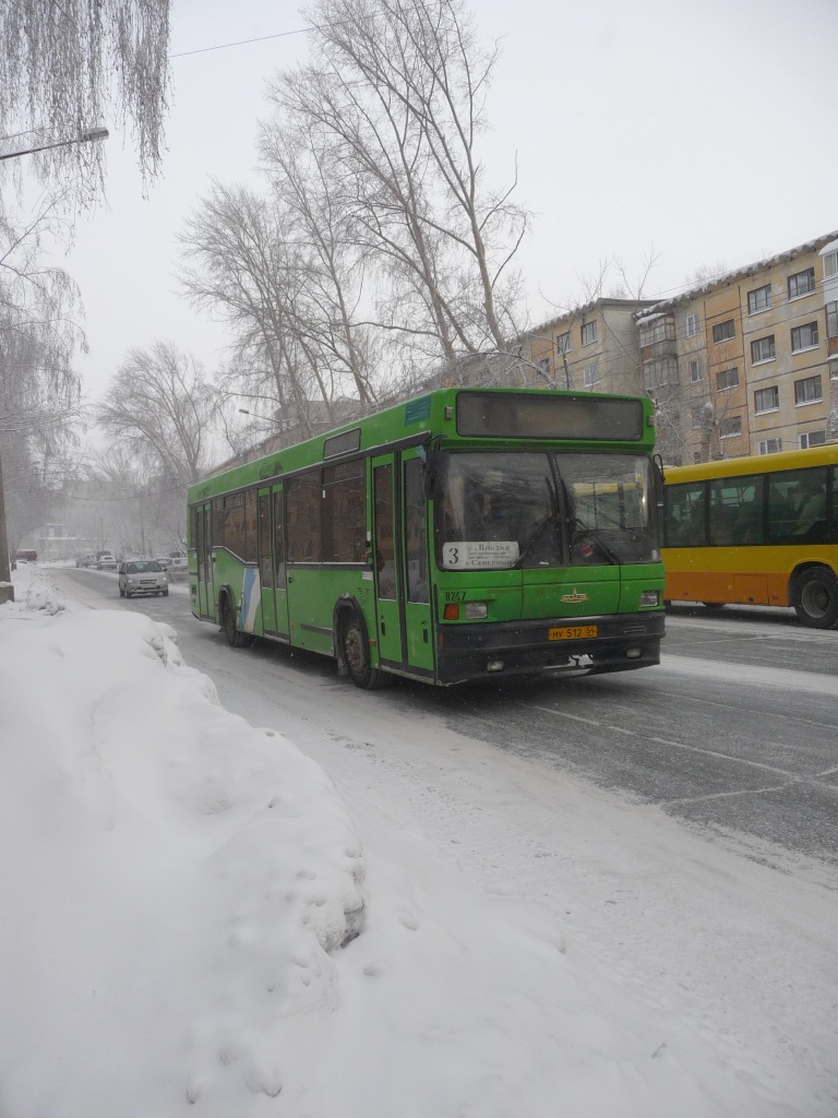 Novosibirsk region, MAZ-104.021 № 8247