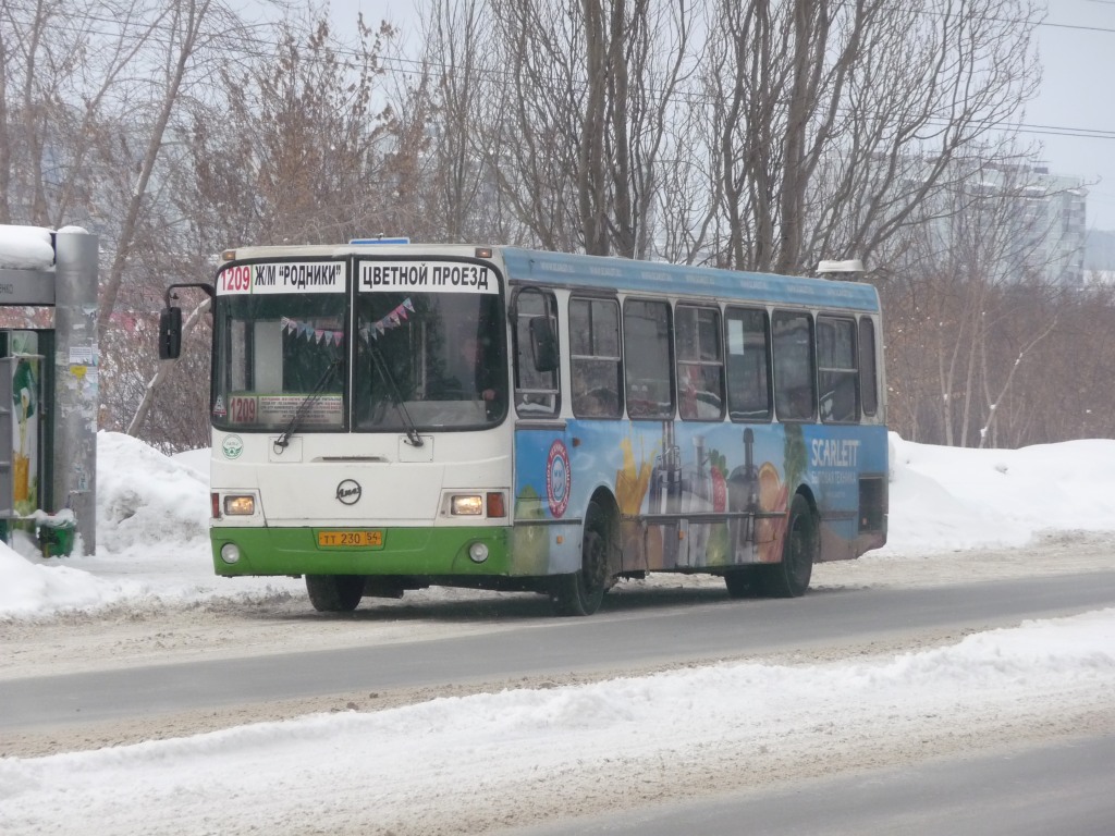 Novosibirsk region, LiAZ-5256.35 č. ТТ 230 54