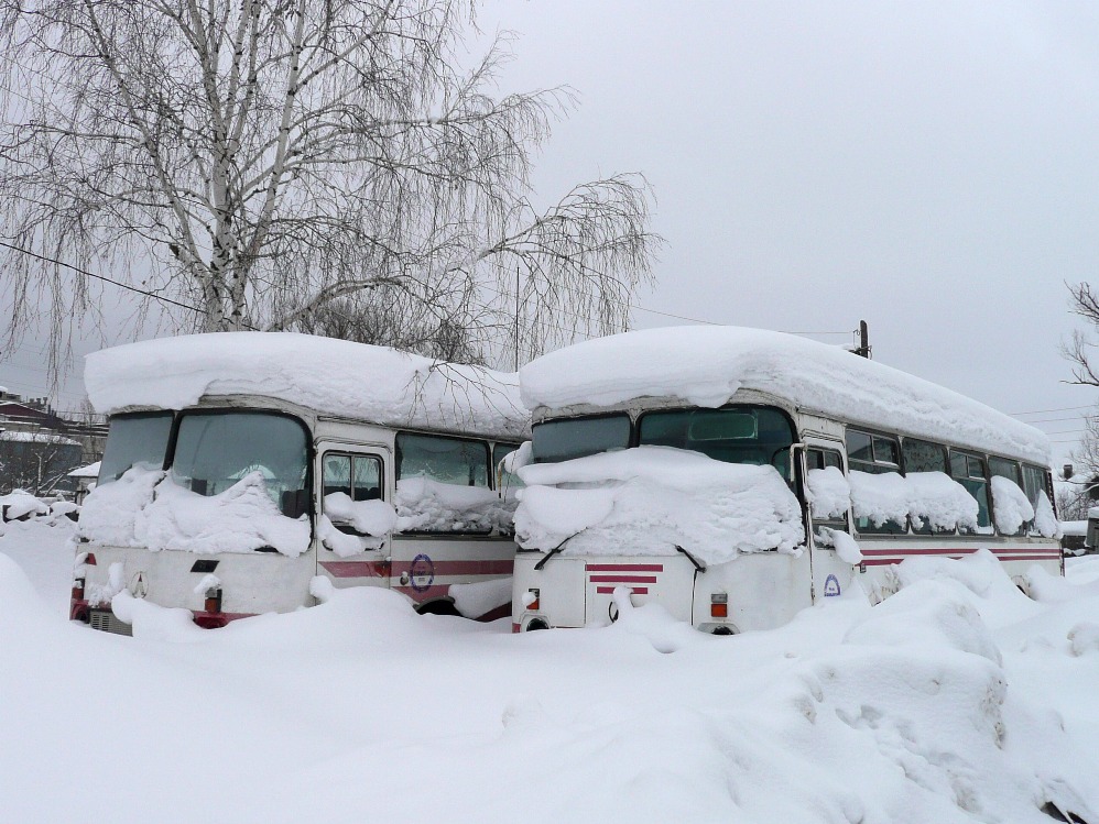 Нижегородская область, ЛАЗ-699Р № АВ 932 52; Нижегородская область, ЛАЗ-695Н № АА 342 52; Нижегородская область — Автопарки