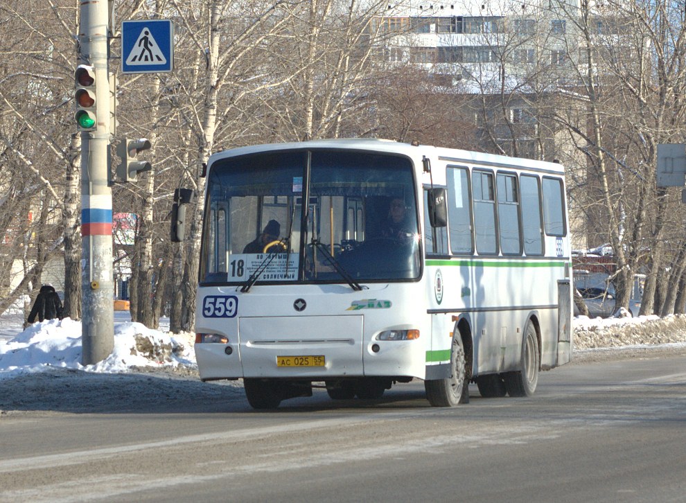 Омская область, ПАЗ-4230-03 № 559