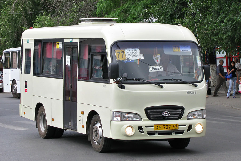 Ростовская область, Hyundai County SWB C08 (ТагАЗ) № 8