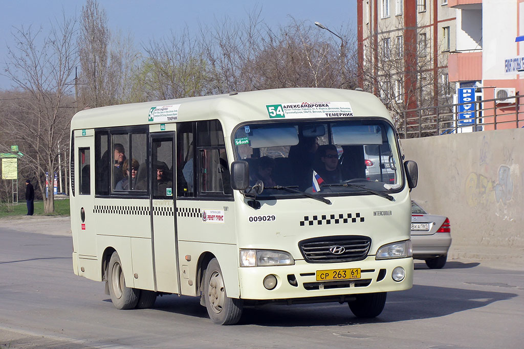 Ростовская область, Hyundai County SWB C08 (РЗГА) № 009029