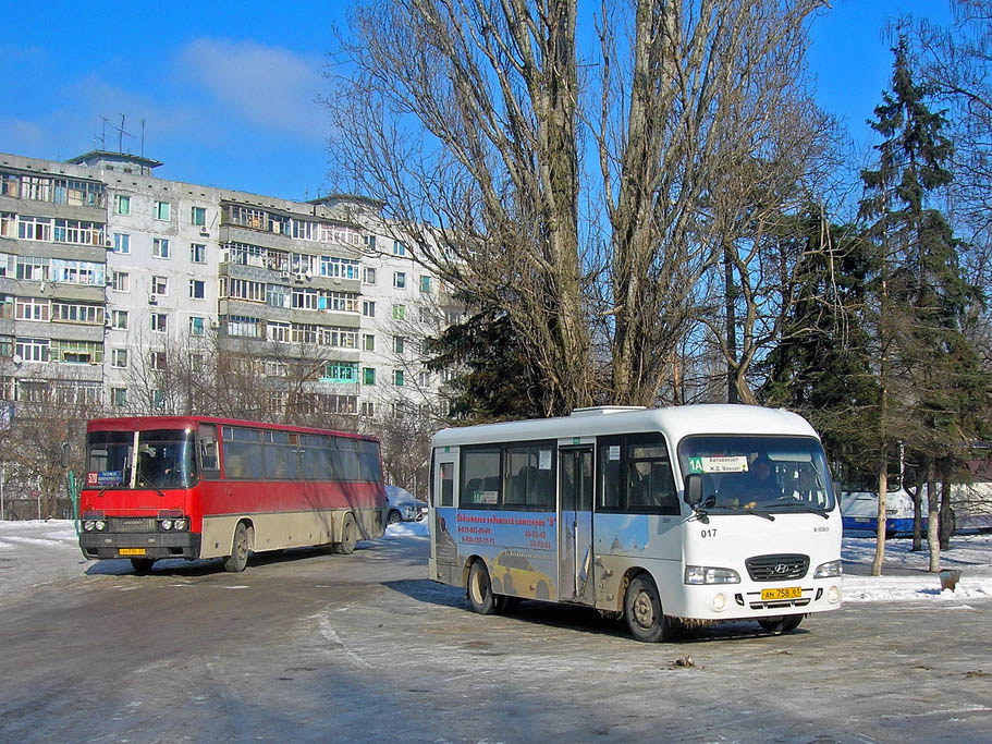 Ростовская область, Hyundai County LWB C11 (ТагАЗ) № 017