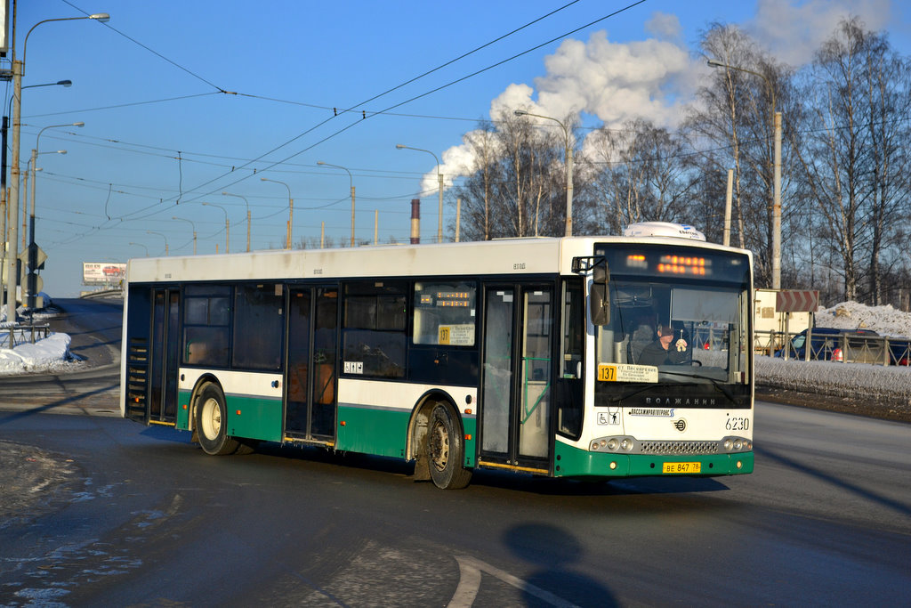 Санкт-Петербург, Волжанин-5270-20-06 "СитиРитм-12" № 6230