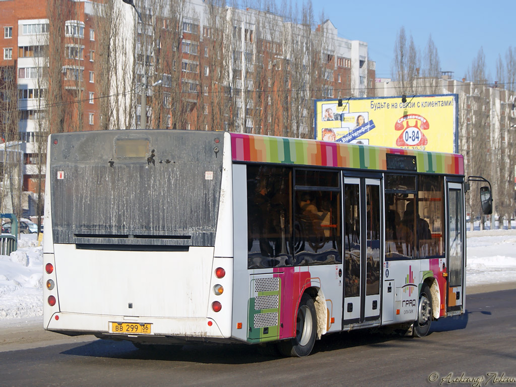 Воронежская область, МАЗ-206.060 № ВВ 299 36