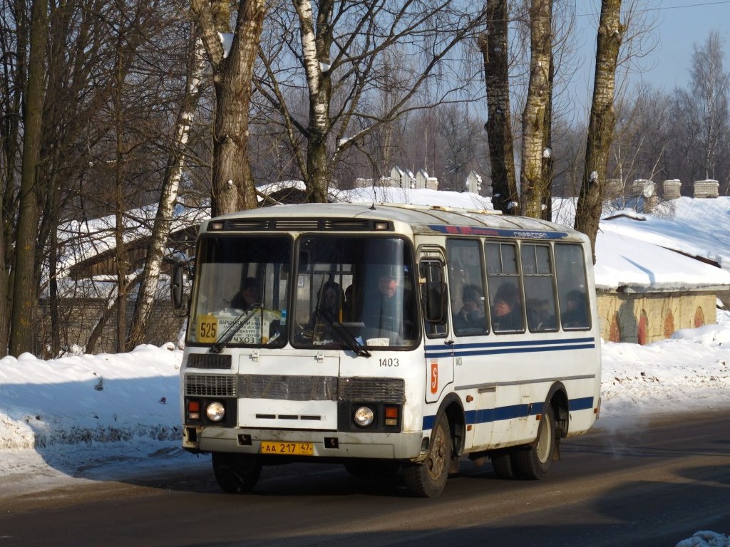 Ленинградская область, ПАЗ-32053 № 1403