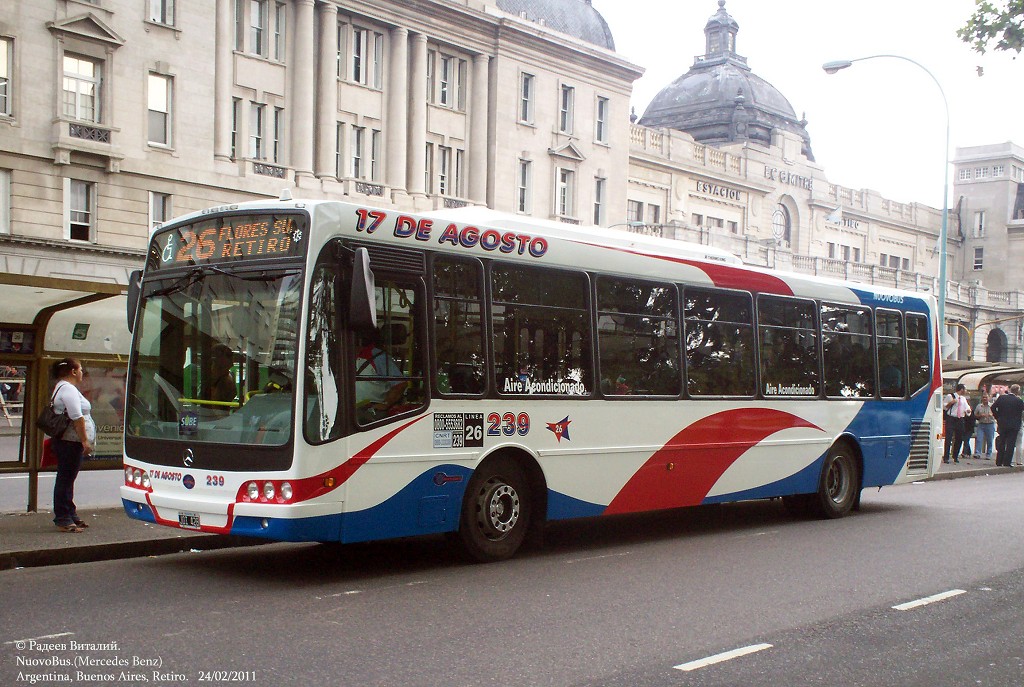 Аргентина, NuovoBus № 239