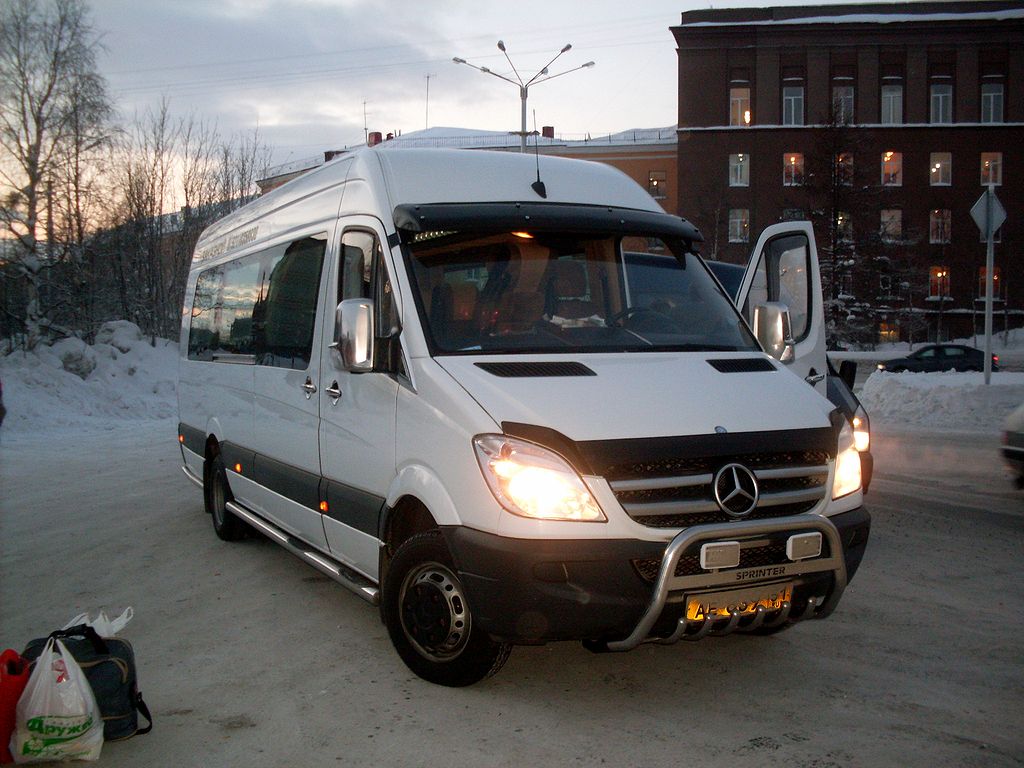 Мурманская область, Луидор-223402 (MB Sprinter 515CDI) № АЕ 839 51