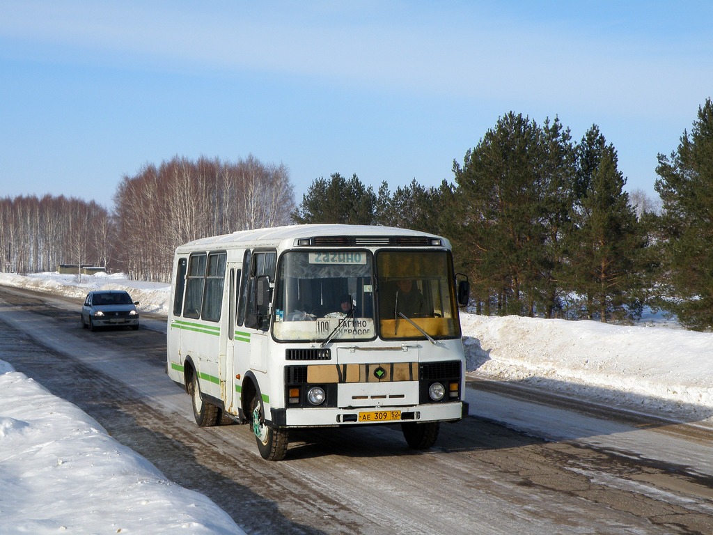 Нижегородская область, ПАЗ-3205 (00) № АЕ 309 52