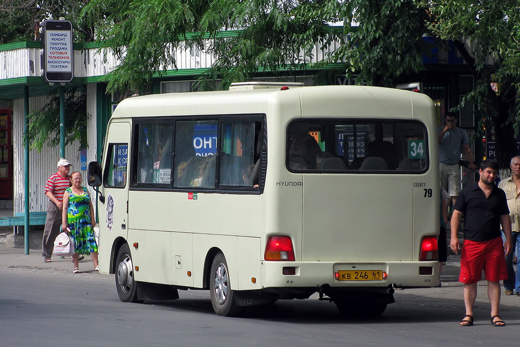 Ростовская область, Hyundai County SWB C08 (РЗГА) № 79