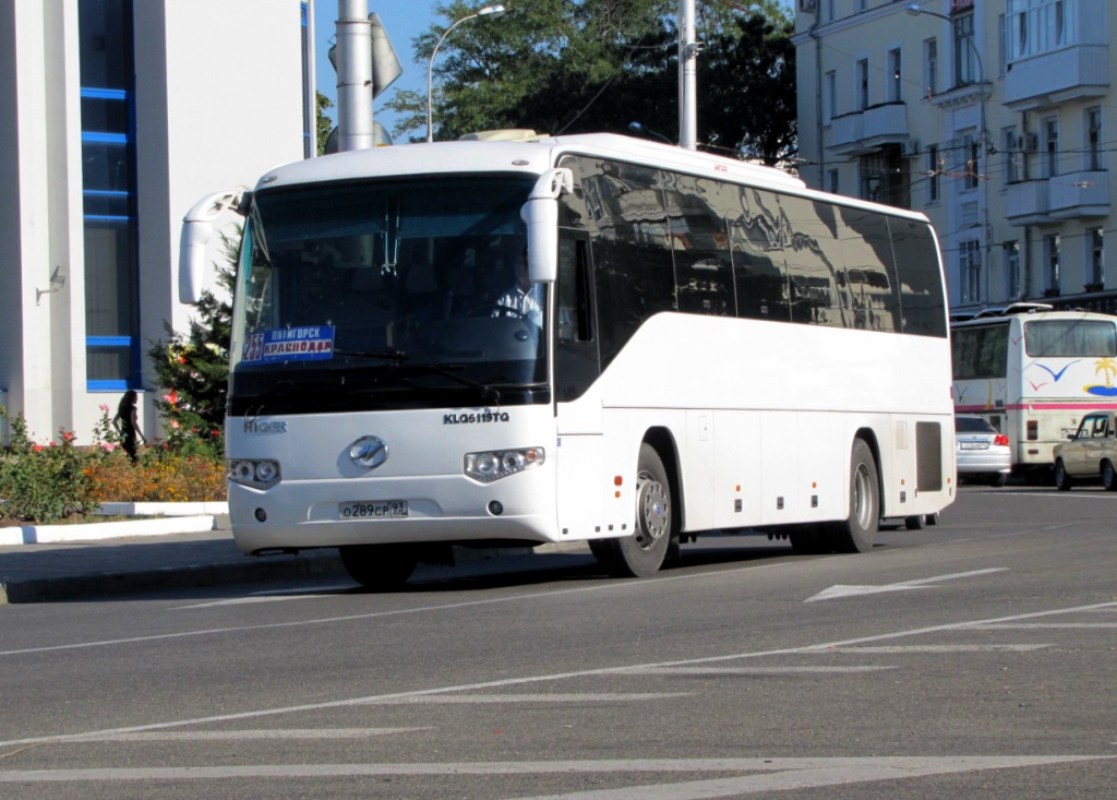 Белореченск краснодар автобус