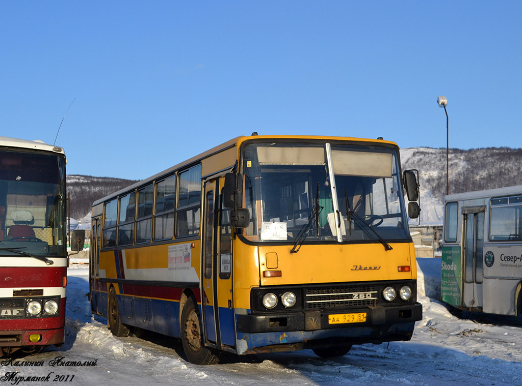 Мурманская область, Ikarus 260.51 № АА 929 51