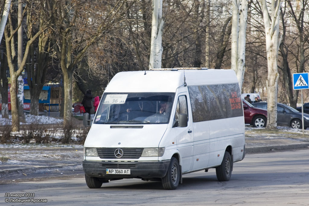 Zaporozhye region, Mercedes-Benz Sprinter W903 310D # AP 3060 AT