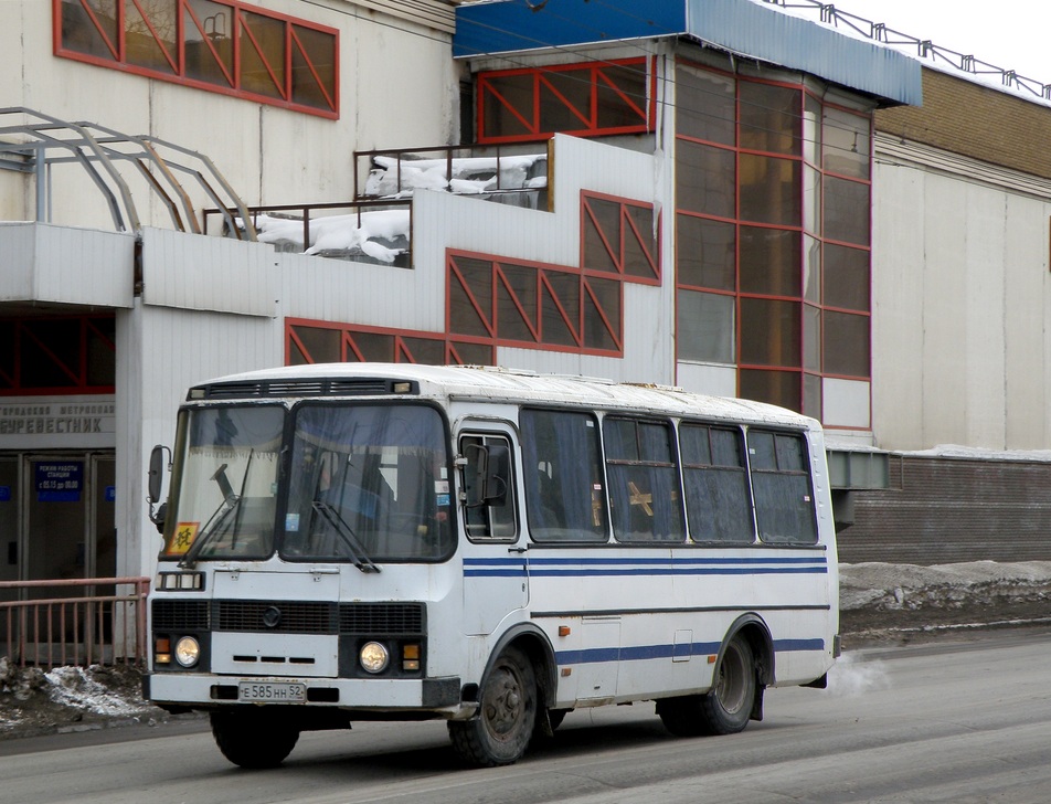 Нижегородская область, ПАЗ-3205 (00) № Е 585 НН 52