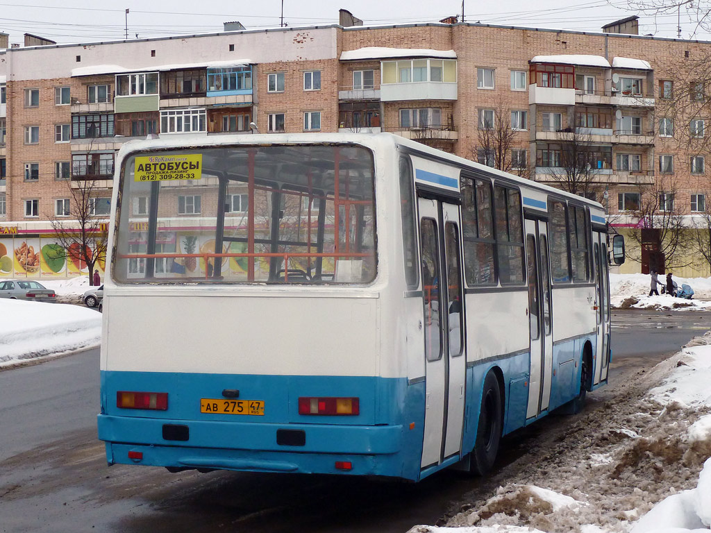 Ленінградська область, Ikarus 263.10 № АВ 275 47