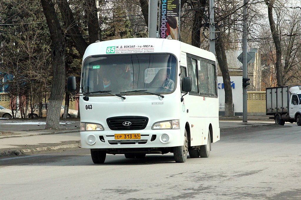 Ростовская область, Hyundai County SWB C08 (ТагАЗ) № 043