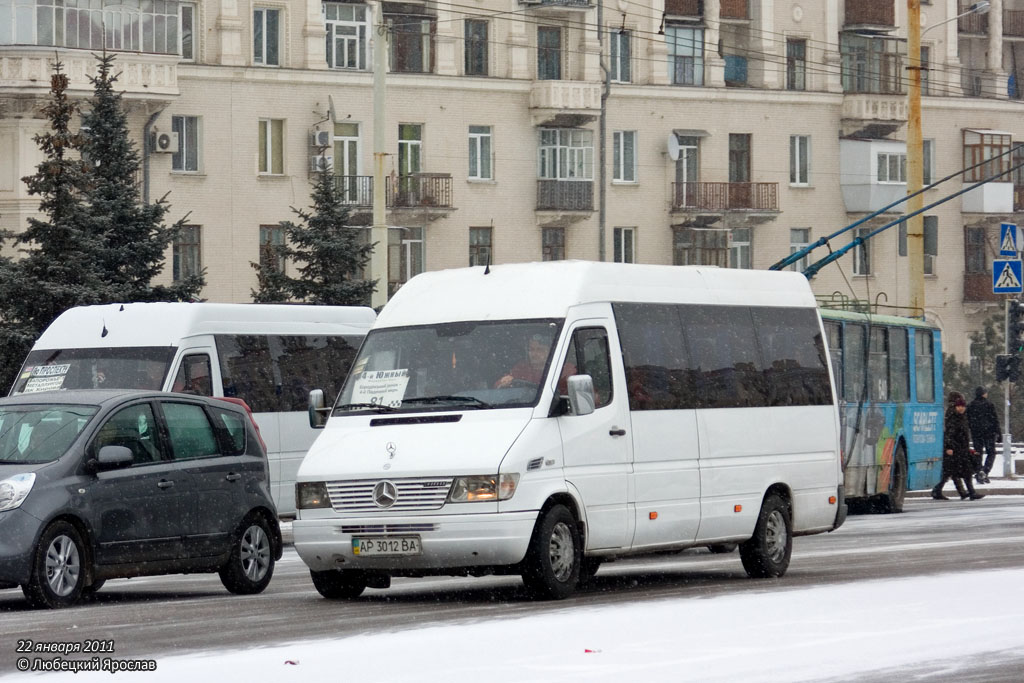 Запорожская область, Mercedes-Benz Sprinter W903 310D № AP 3012 BA