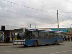 244 КБ