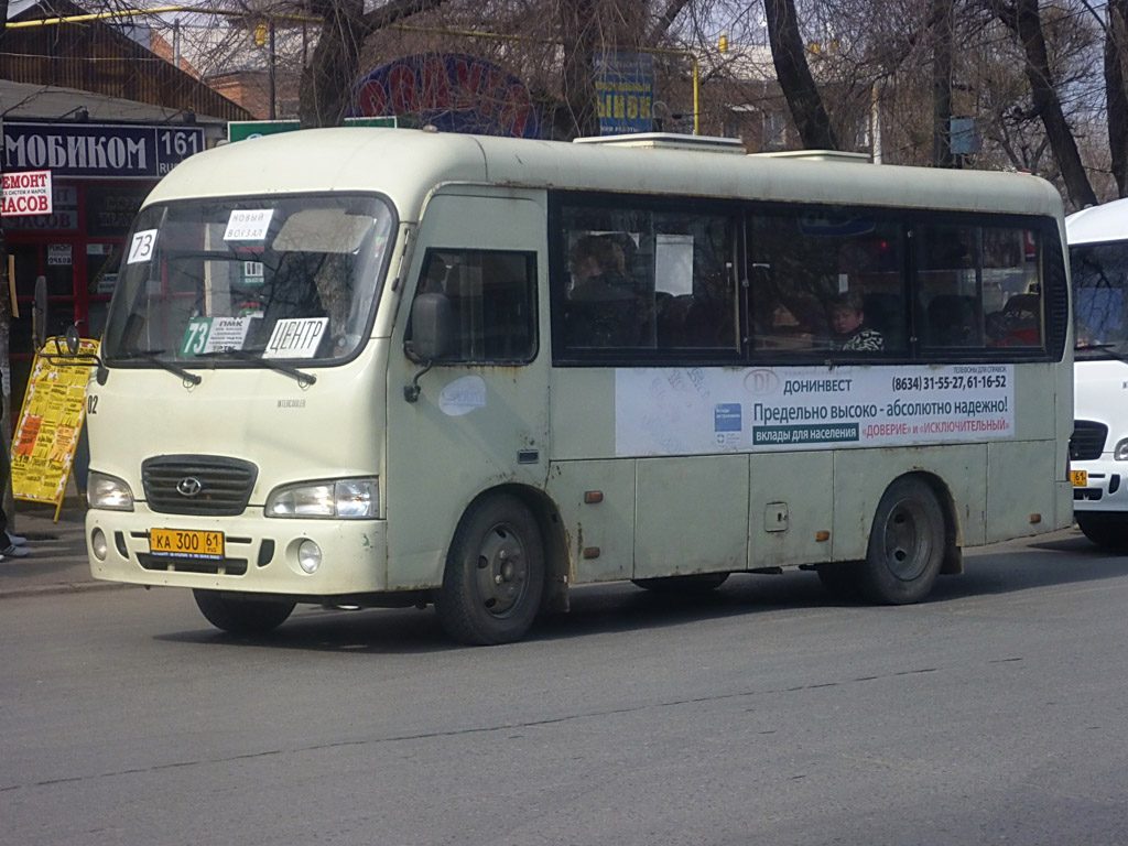 Ростовская область, Hyundai County SWB C08 (РЗГА) № 02