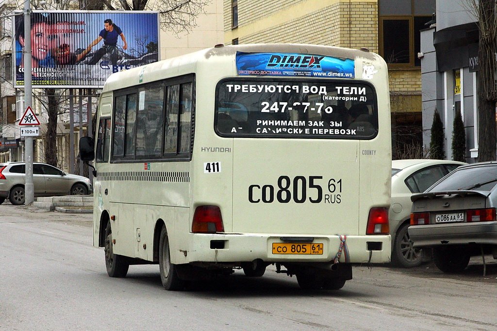 Ростовская область, Hyundai County SWB C08 (РЗГА) № 411