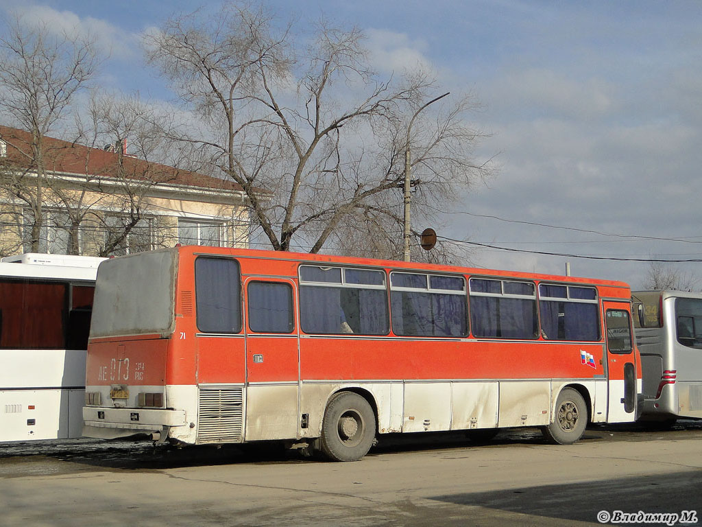 Волгоградская область, Ikarus 256.54 № 71