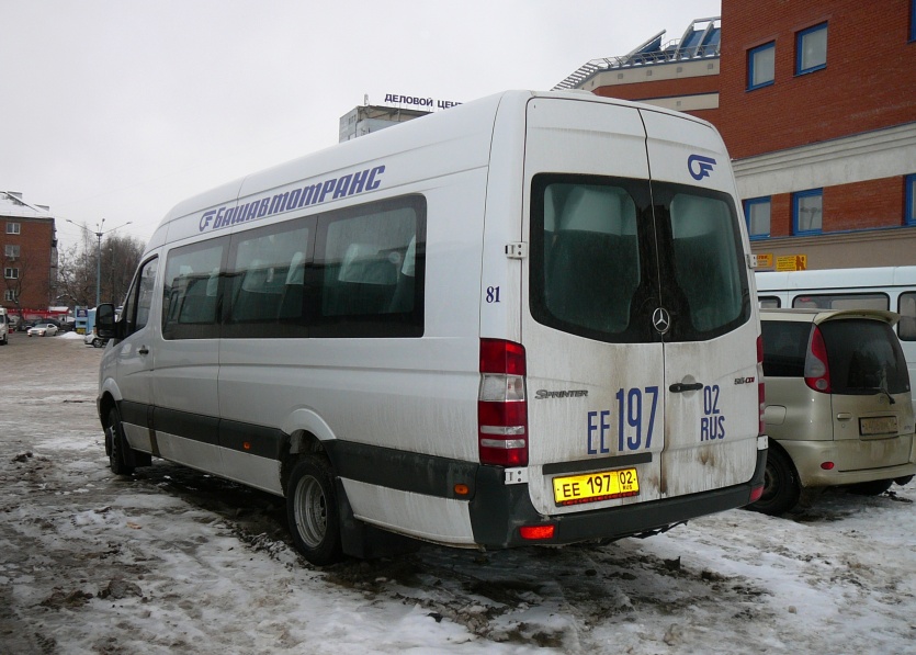 Башкортостан, 906.655 (Mercedes-Benz Sprinter 515CDI) № 81