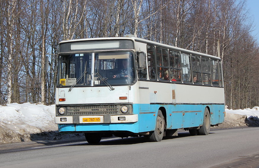 Ленинградская область, Ikarus 263.10 № АЕ 787 47