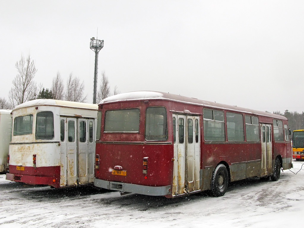 Ленинградская область, ЛиАЗ-677М № 509