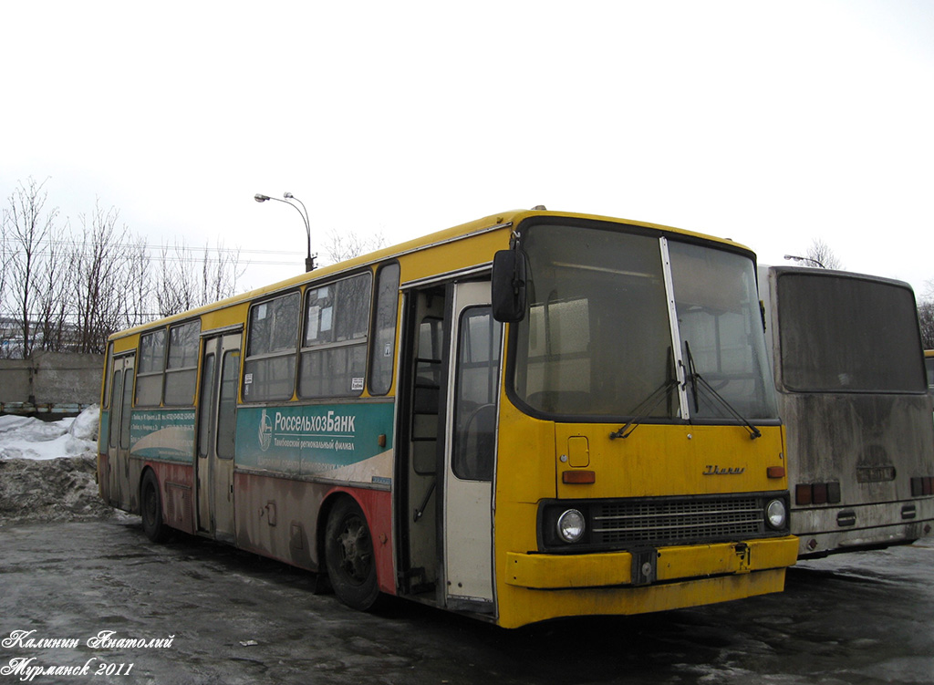 Мурманская область, Ikarus 263.00 № АЕ 779 51