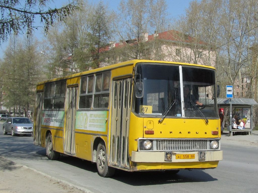 Свердловская область, Ikarus 260.01 № 762 — Фото — Автобусный транспорт