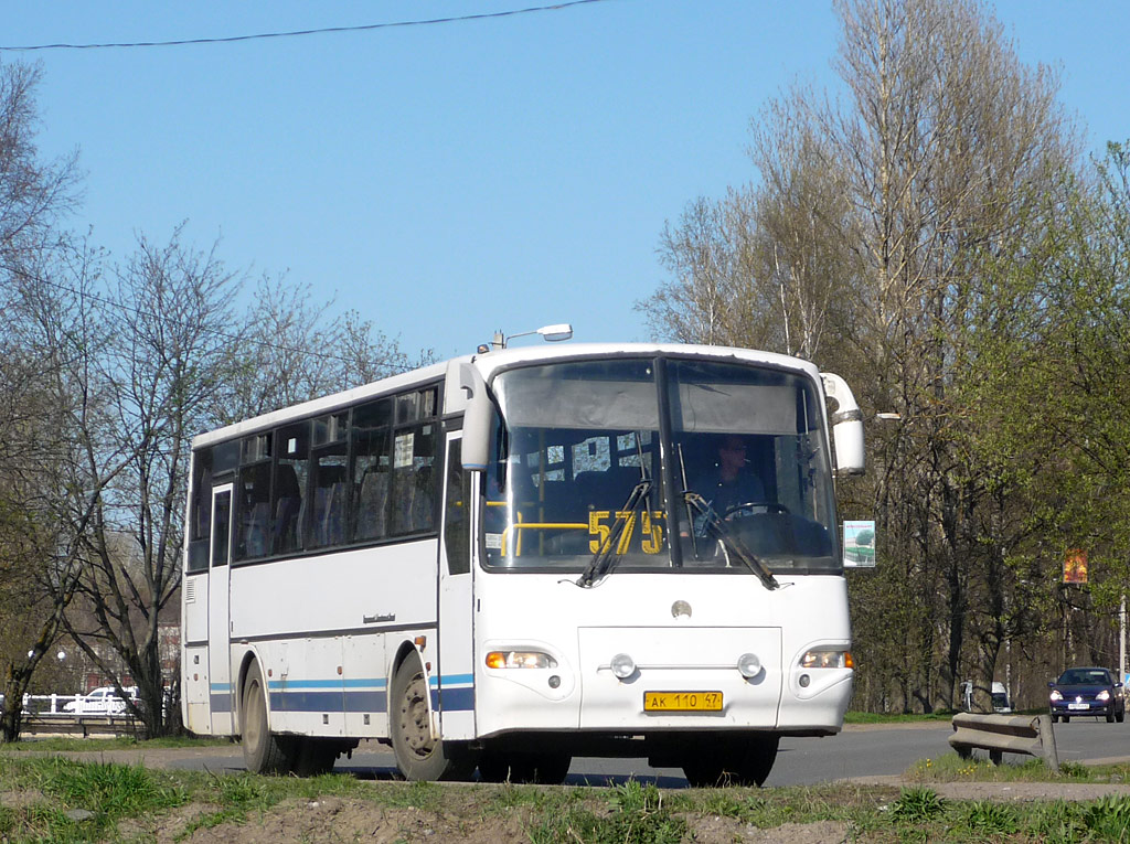 Ленинградская область, КАвЗ-4238-02 № АК 110 47