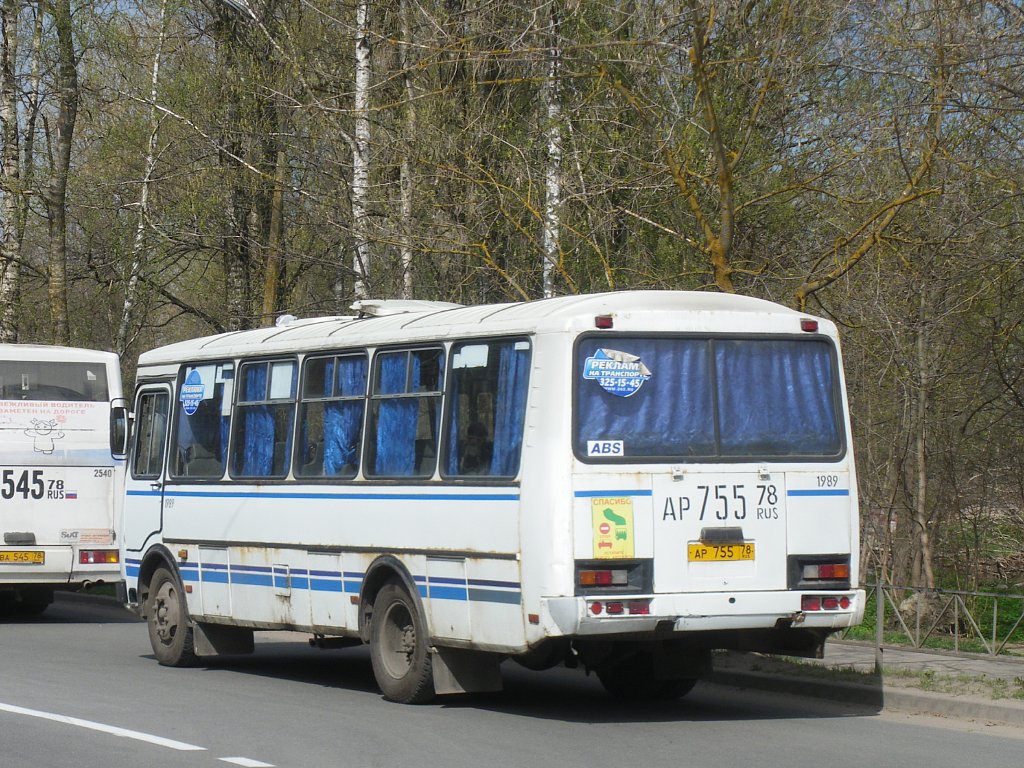 Ленинградская область, ПАЗ-4234 № 1989