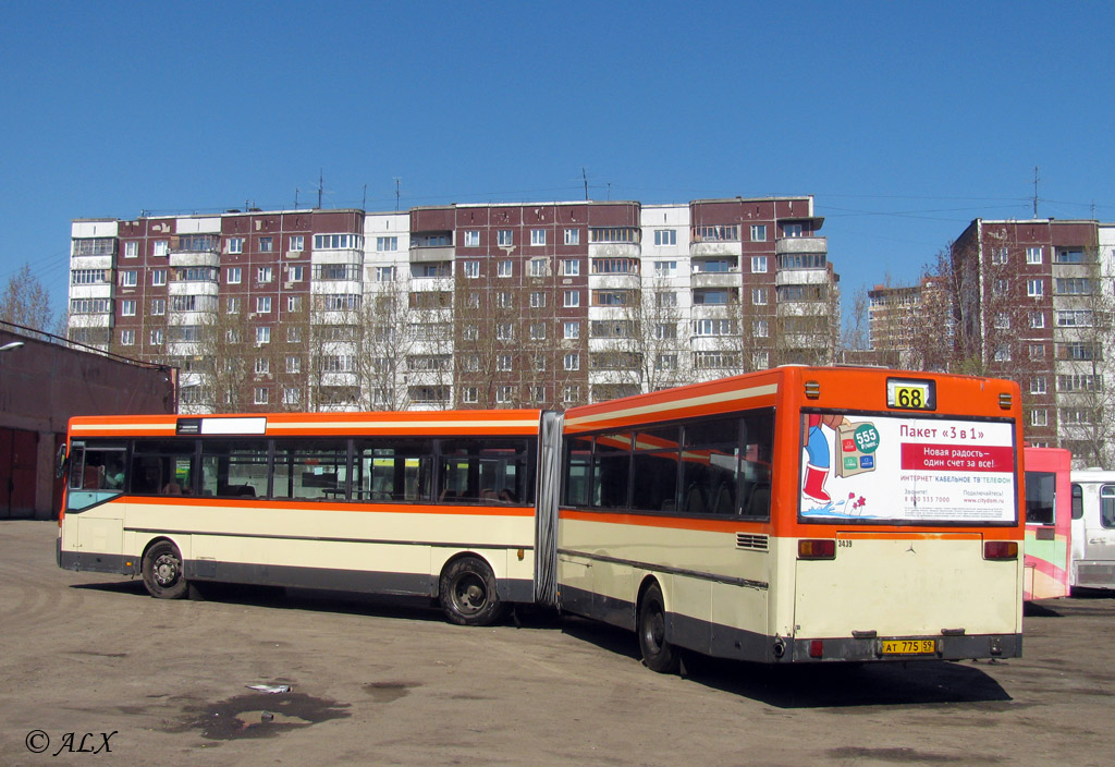 Пермский край, Mercedes-Benz O405G № АТ 775 59