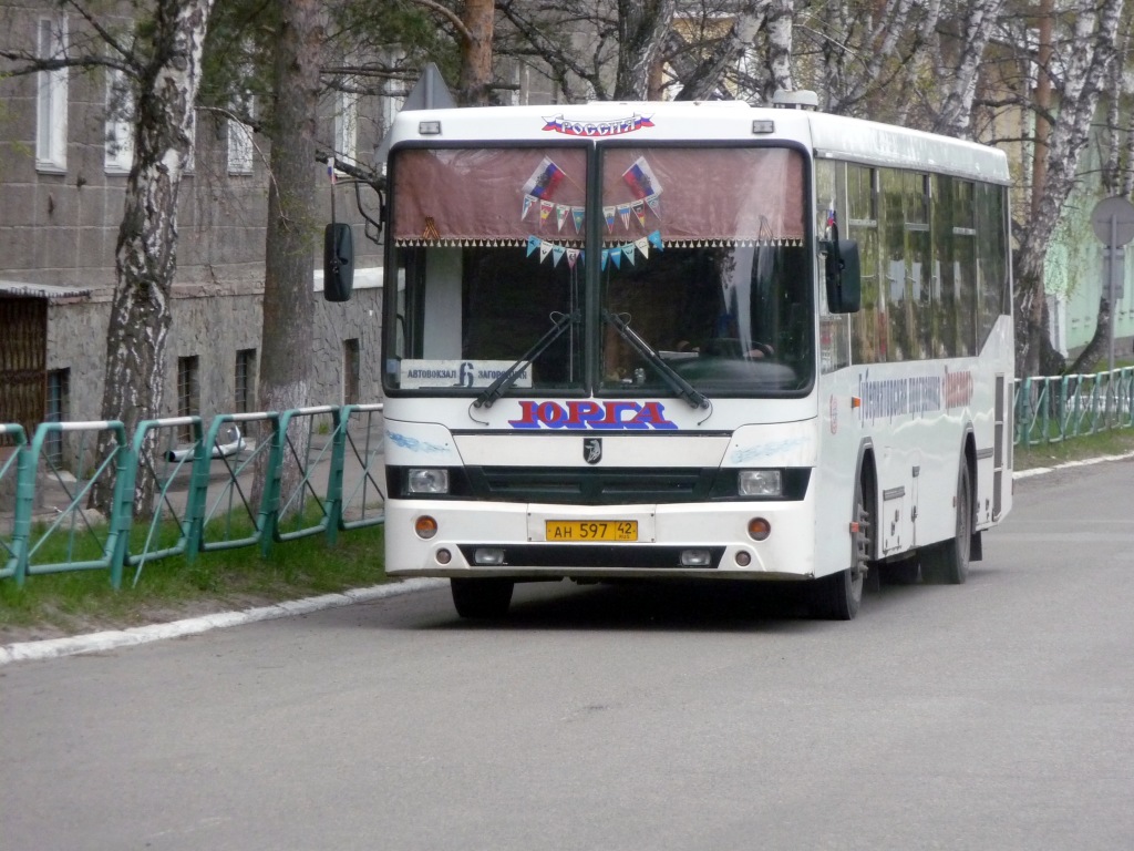 Kemerovo region - Kuzbass, NefAZ-5299-10-15 Nr. 190