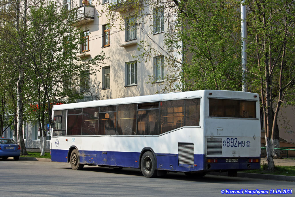 Kemerovo region - Kuzbass, NefAZ-5299 Nr. 242