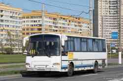 246 КБ