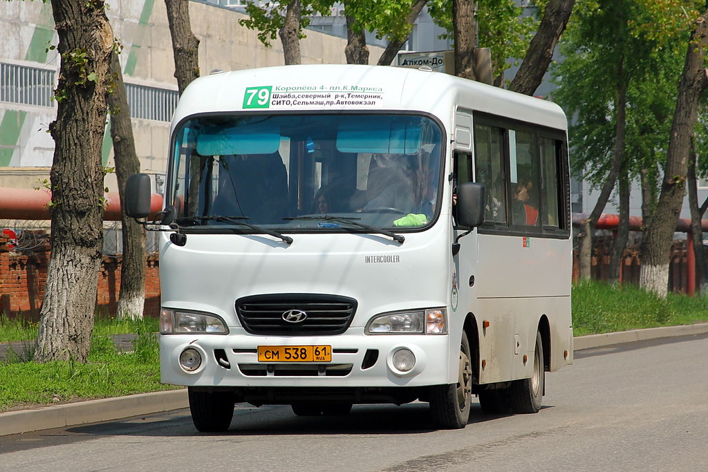 Ростовская область, Hyundai County SWB C08 (ТагАЗ) № 338