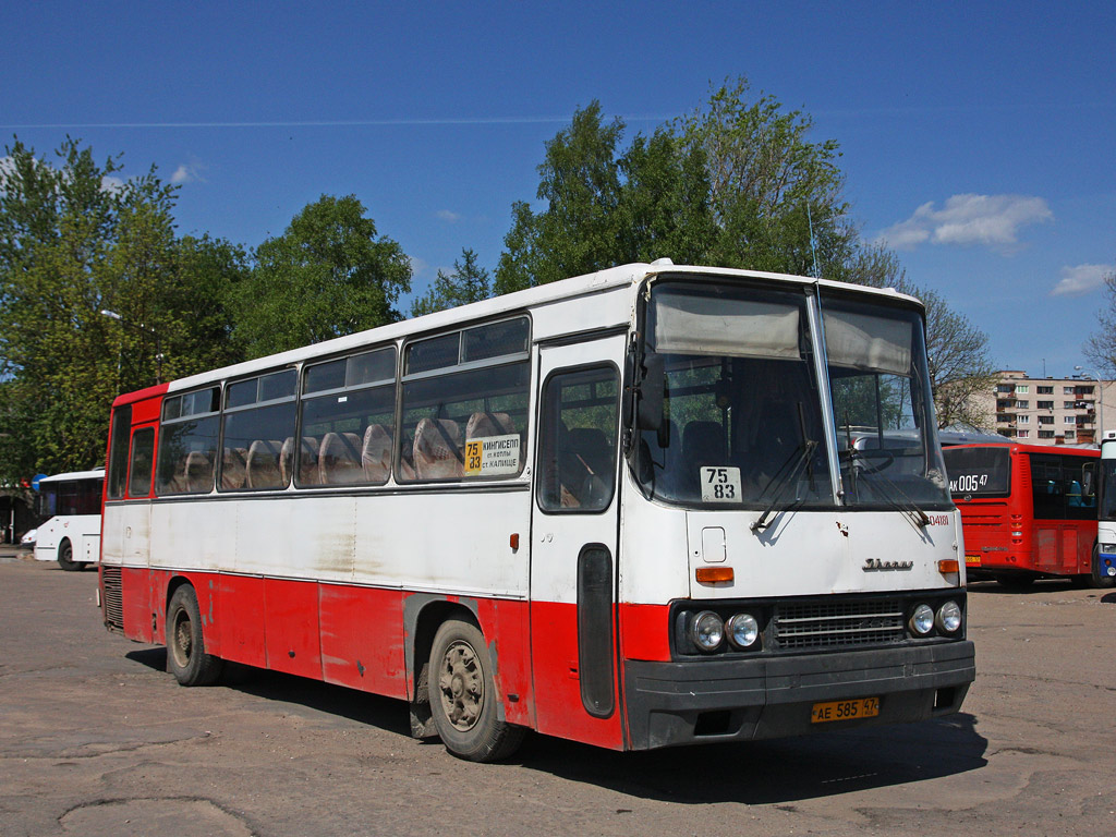 Ленинградская область, Ikarus 256.74 № 04181